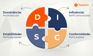 FOTO 1__Impacto da Metodologia DiSC nas Vendas